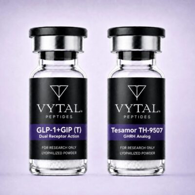 Metabolic Recomposition Research Stack